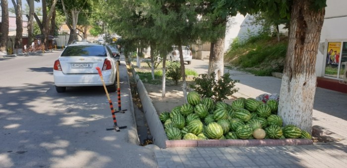 a4f80961a4ea3f3d37160cbebbc81cd1d982e878