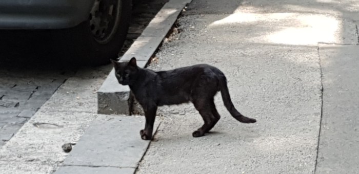 b55eacfc4ee352bcdacabcae7559ddad03878a07