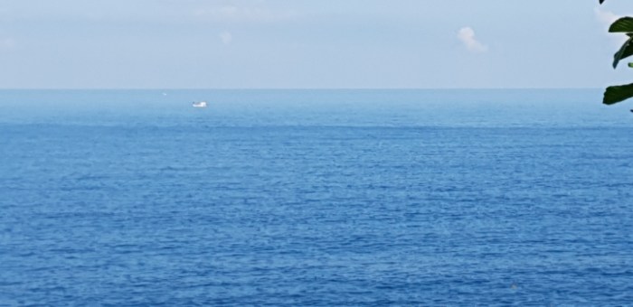 cf4f697f38835ddced0440609bf5d1accadf492e