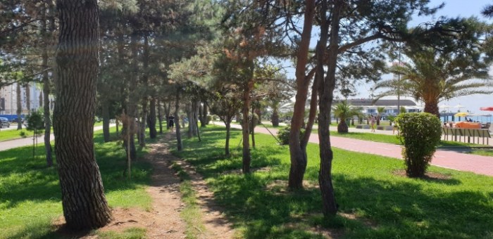 ff47ba3bdd5386b8bf16a94d69cde577068f2b8b