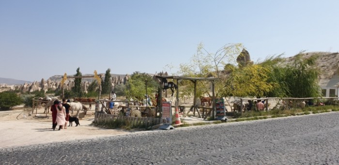 19114ad61a8ac50d8398364aac79d85a900cfa83