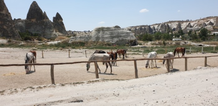 19138f0848818d2682317e38d0620e73c647bb7f