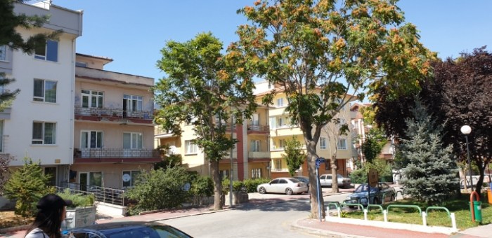 3bab95b44ca5abbc05fec7cdae70fea17879cfb7