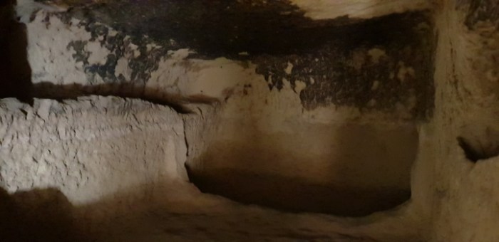 644e50f01a300b763a52127c64b8037f8e51740b