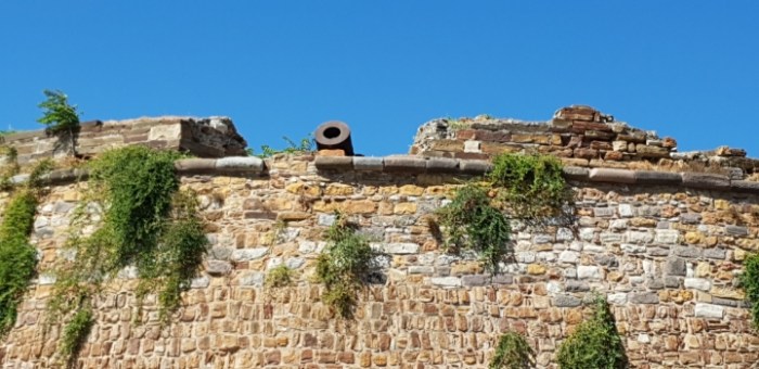 7088515abcc64ddef35f1e2480a8399018a5de9d