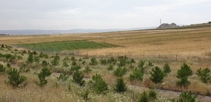 9cfb48fdbc8a0cf10ac08e41ae722f68683c9274