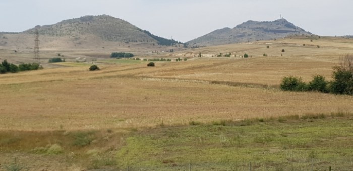 c7729e526019f7e69ce8a7b647469775ef58c8ef