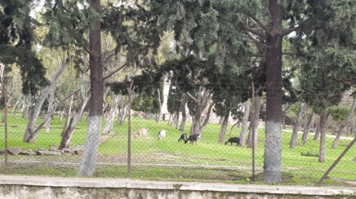 36082ced4d801a2c4bc8b9a63f538119ebe4bbfe