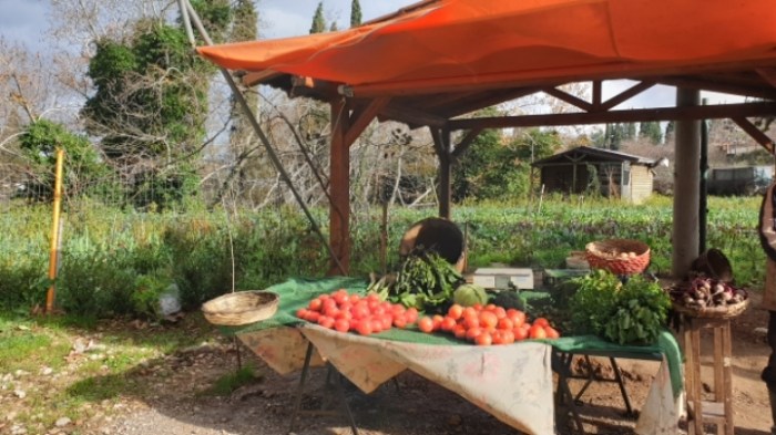 b6089de588d501334b8f4c690c94f45afcfeb0e3