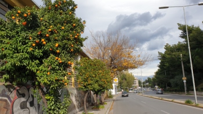 d11d18a7bcc7cd77e51c7ea4c6b3aa65a23d97f3