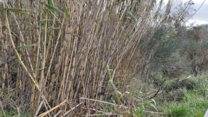 f7e3130827165396354dac30b91ff66cc1434ac4