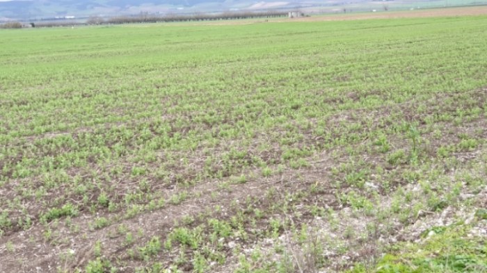 01583b2ad19ea3cae59c5f4e3706c5090d51a9a7