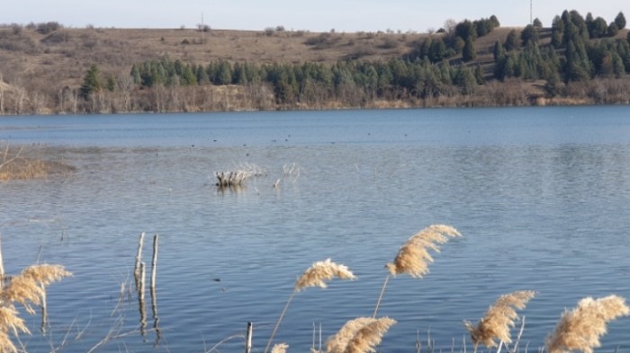 01cb1cdf595d9e2121a82035727bad82a2a72f01