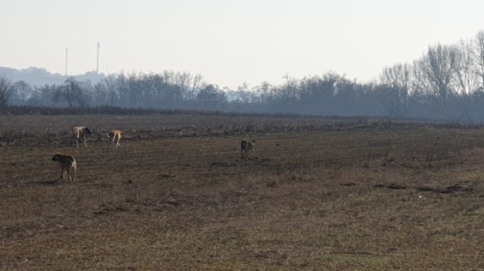 0233717d4fbde95c7bc0726d6470760d3bcd4c43