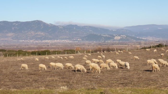 040bed5f68f361c6eaeea5734ed5c59a69a62991