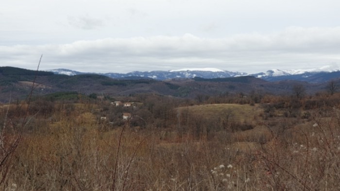 040c736629caa13891ceb32435af6c0dbb689aa9