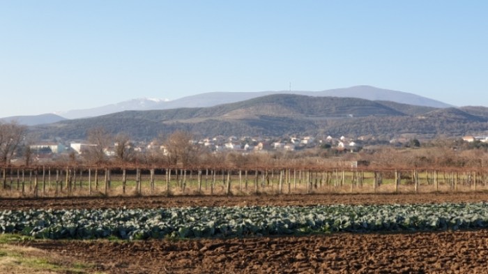 048ca33912e05fb0c5b2bef6349bf21261e93b9c