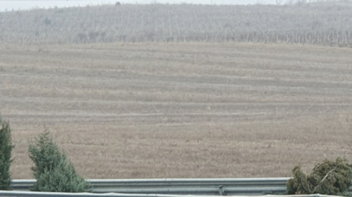 0fa920583df1d241f9f7d2e863fb9983afa8b621