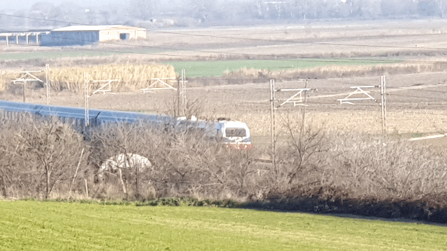 0faebd81077d04f535a8349eba19b2bbae4debe9