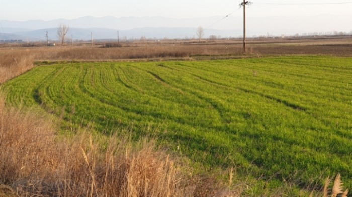 13cfbaa32f7cfc35ddd789e5efc8f0b74951d940