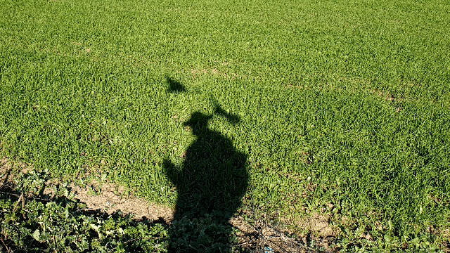 14026f2c097e64a27703f63905a31ddd2ff089c5