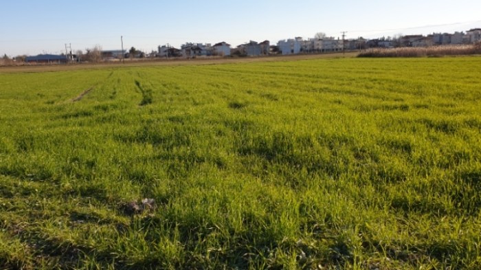 1579c78fe4b6774f9e7f5e516ddbaa790ce398a1