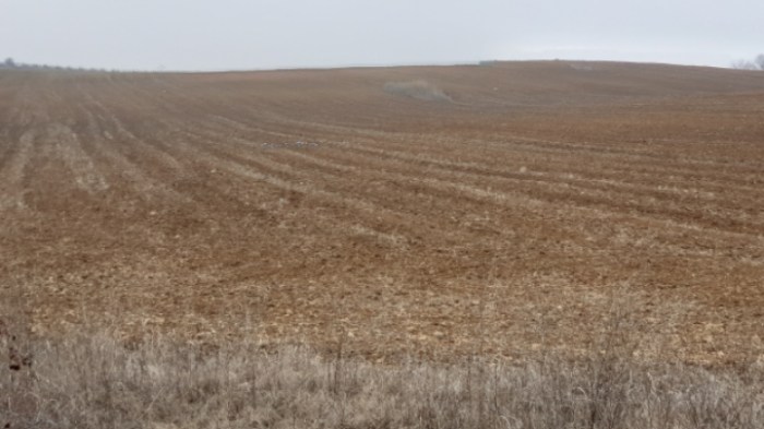 19b713320e2da44b752d5d63f599c3b388751619