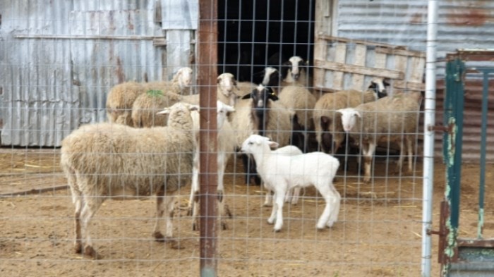 1e9be406365dde609039458a9d515726b8eb8663