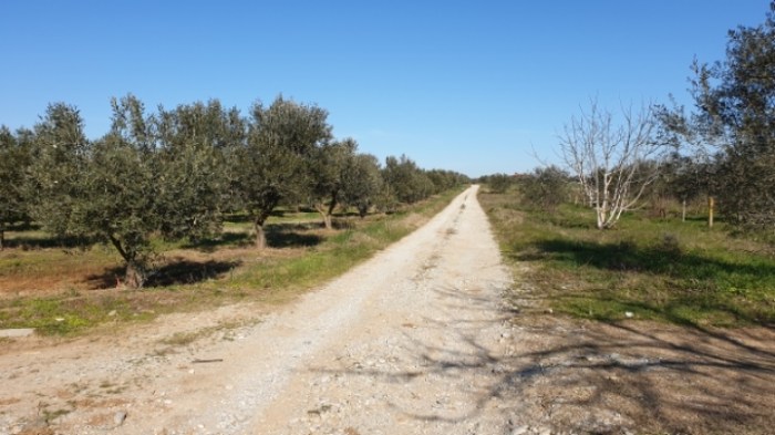 1f359c994b6501d94fff6af0d64f009d0ac4e955