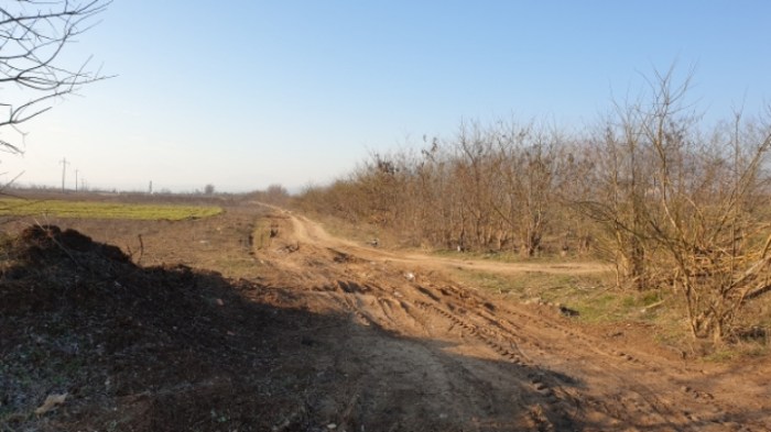 1f5c43cd7c8bcf32fdfaba829970957d8c0cb3db