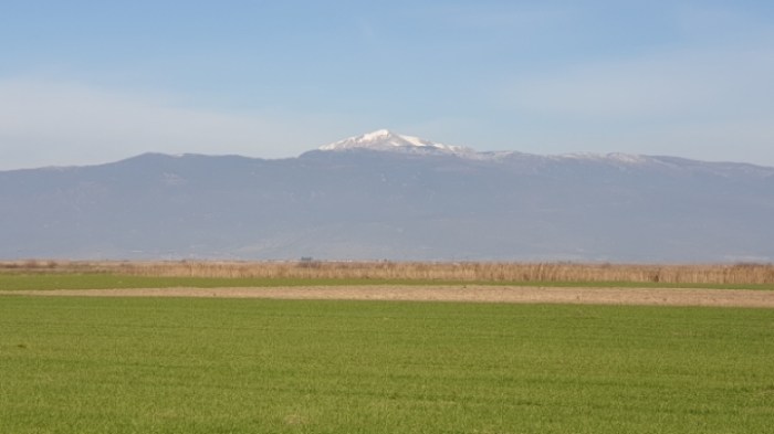 2039c3f9ed8018709fed59ae45ec8db24941f274