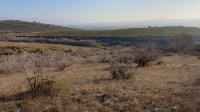 23607ea7beb52d64151a9e1bbb17b0270607c48e