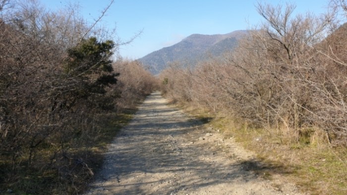 2775fb0056b082a475bb6979d31a63d78211cba5