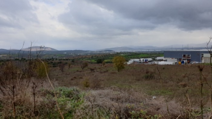 2c9b5a1f1770076d9267b18899fbce238d95425e