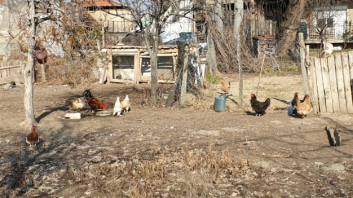 2e0c0f55de591d92a53ed7c5acd3eef80c0798ef