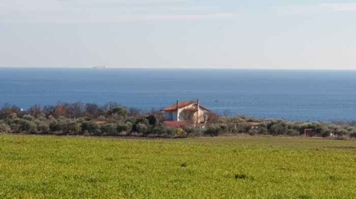 3029f5217d3c33ba2677c8ffae4cd19b66a98392