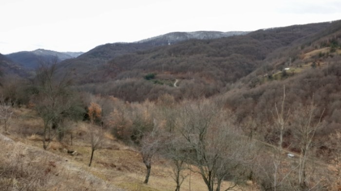 32d84f2dbfefd4b25dbd581f63f4a44dd9452a42