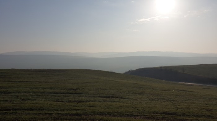 338d708d4c0c9d5ed575493d79c8f7c6abaaa183