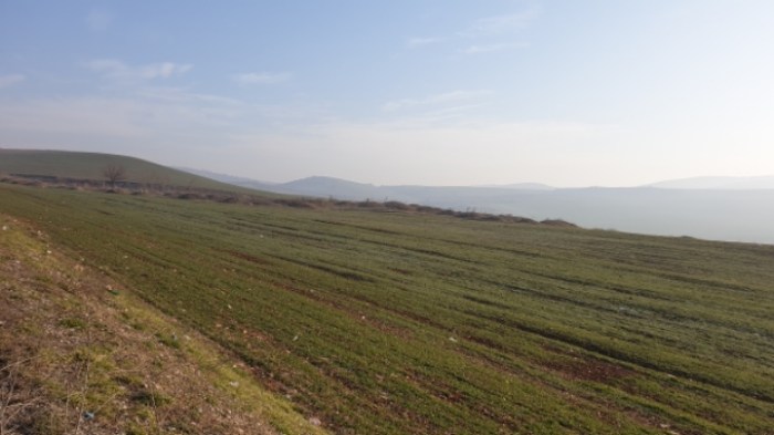 362d4fac5adbf4ed4448db8f7c70c95f62dc52f5