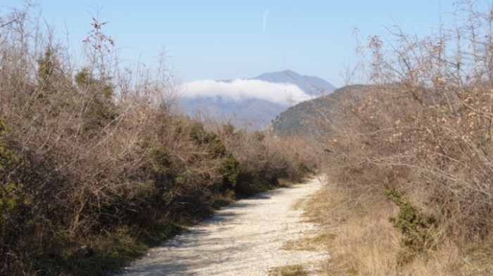 38fe30fd8875e76c6625d5e908d0c4e36961ad58