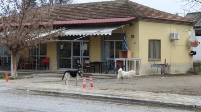 3a04b0abb51ca5ab20ab1474b6b5507a75b23266