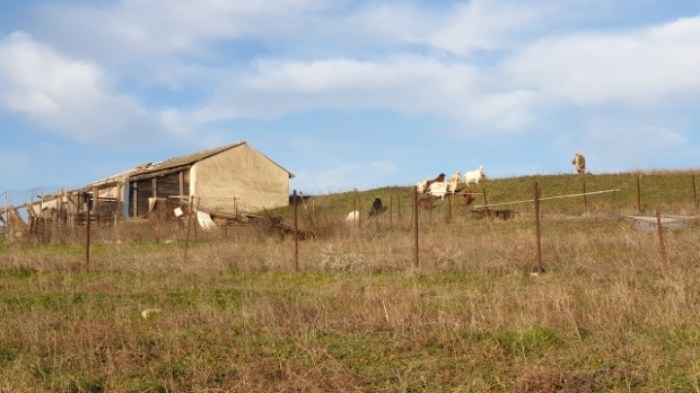 3c03652c1f48096857b79609215befaebf631c20