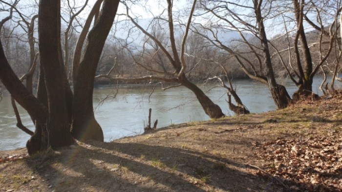 42ecbe237c25cca773898bb8a031c74be26218ae