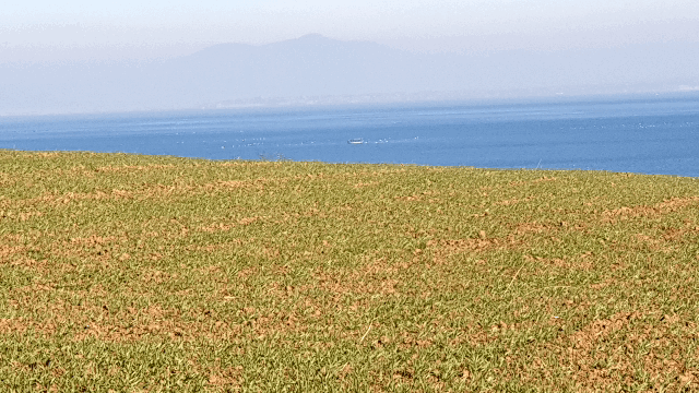 44ec0bc42bcf34a64e5580834dbf5226f134dab5