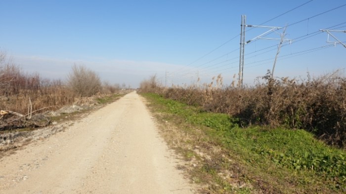 4b948697cf77e515902ef0f12973aeb90ce2f24c