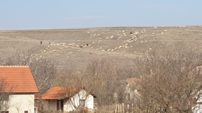 4e519066faddde6faecaa1966b98763e736c7064