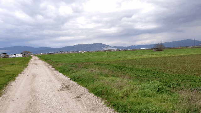 56500cae401d4ff303f2f8951c3c612c785267a8