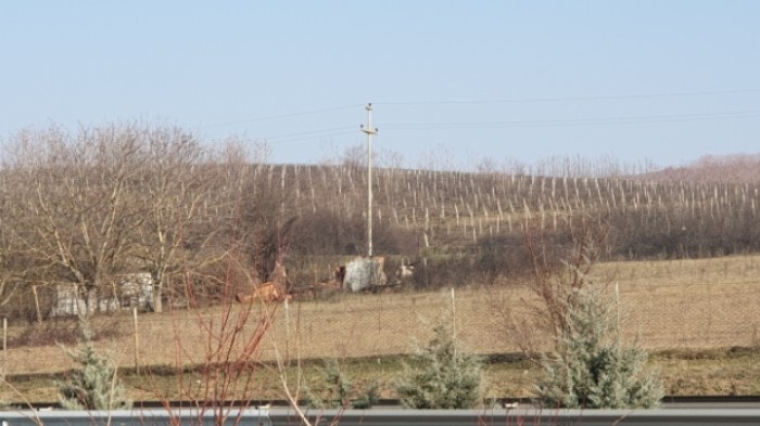 56ea811240e320fff989143f15ce19ac0530107f