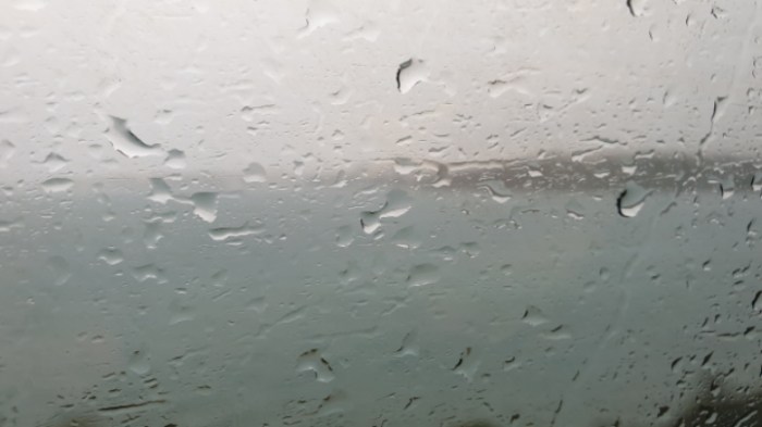 56fe63230a18e4959ea0a9f217700a5facd5a668