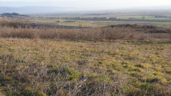 59691fc3a21385cdaccb4e829969f80bedbba6e5